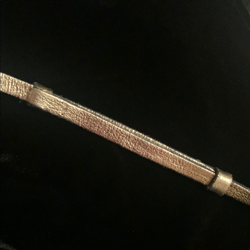 Express Gold Belt Classic Accessory - Picture 4 of 6